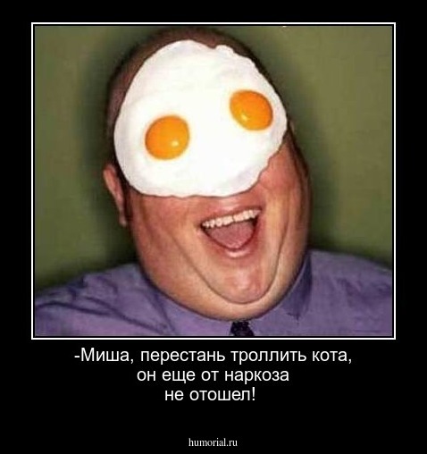 -Миша,  перестань троллить кота, он еще от наркоза не отошел!