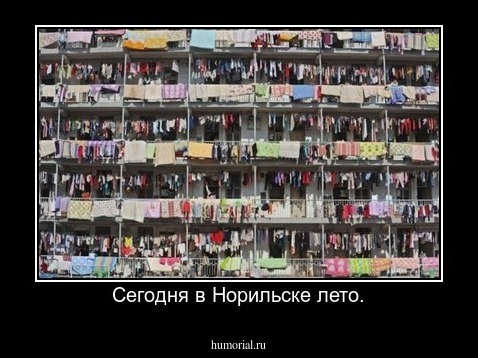 Сегодня в Норильске лето.