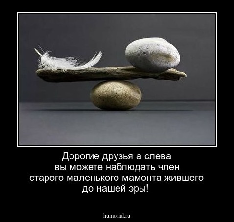 Дорогие друзья а слева вы можете наблюдать член старого маленького мамонта жившего до нашей эры!