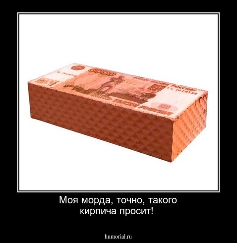  Моя морда, точно, такого кирпича просит!