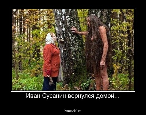 Иван Сусанин вернулся домой...