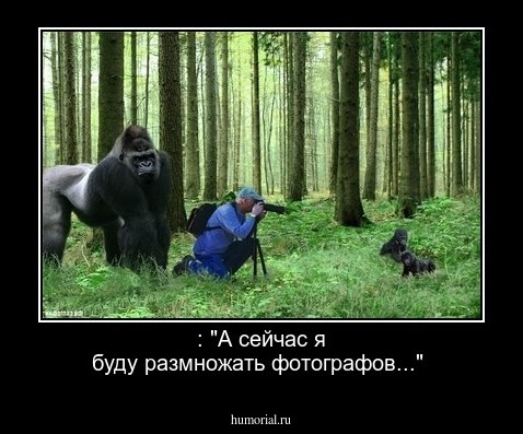  : "А сейчас я буду размножать фотографов..."