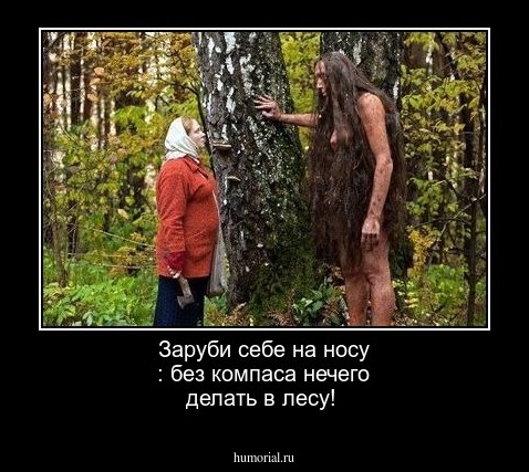 Заруби себе на носу : без компаса  нечего делать в лесу!