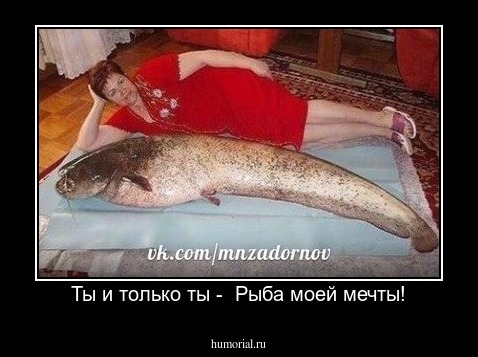 Ты и только ты -  Рыба моей мечты!