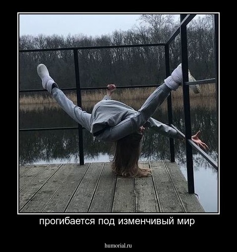 прогибается под изменчивый мир 