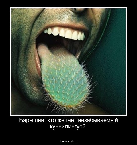Барышни, кто желает незабываемый куннилингус?
