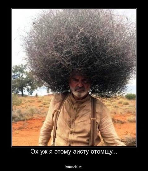 Ох уж я этому аисту отомщу...