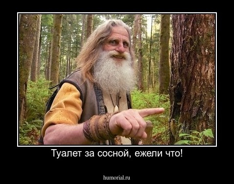  Туалет за сосной, ежели что!