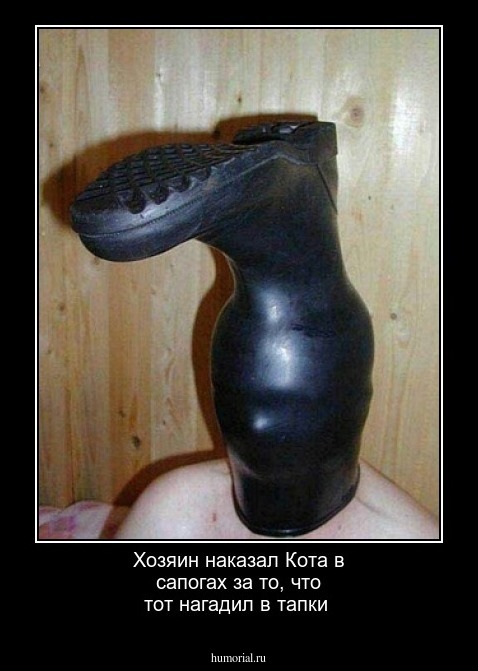 Хозяин наказал Кота в сапогах за то, что тот нагадил в тапки