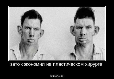зато сэкономил на пластическом хирурге 