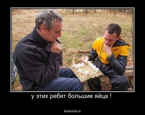 у этих ребят большие яйца ! 