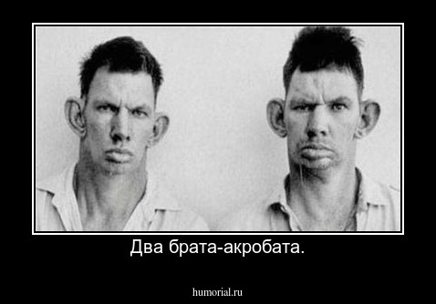 Два брата-акробата.