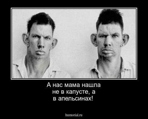А нас мама нашла не в капусте, а в апельсинах!