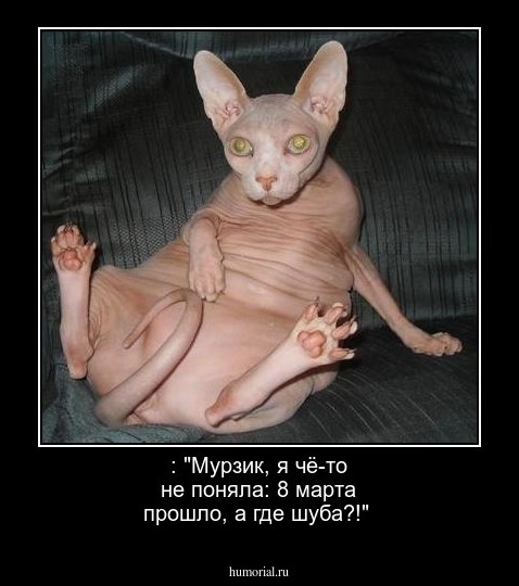 : "Мурзик, я чё-то не поняла: 8 марта прошло, а где шуба?!"
