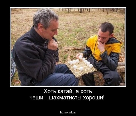 Хоть катай, а хоть чеши - шахматисты хороши!