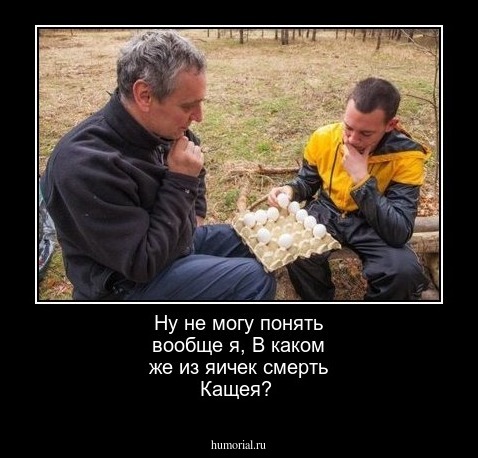 Ну не могу понять вообще я,  В каком же из яичек смерть Кащея?