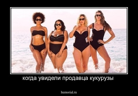 когда увидели продавца кукурузы 