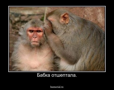 Бабка отшептала.