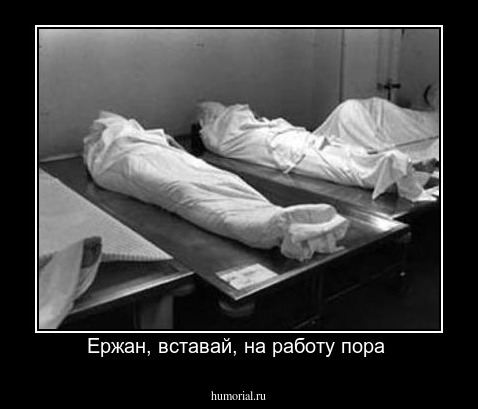 Ержан, вставай, на работу пора 