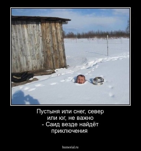 Пустыня или снег, север или юг, не важно - Саид везде найдёт приключения