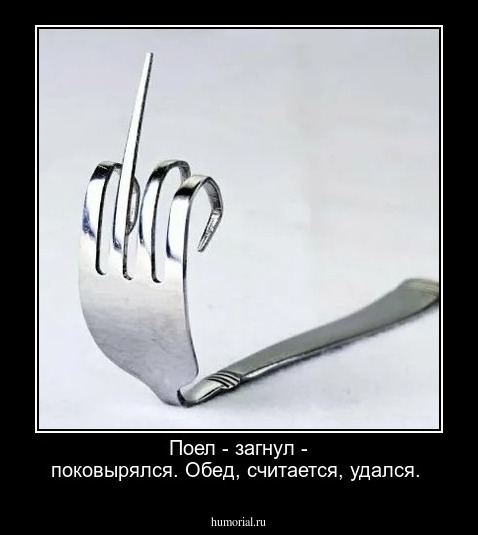  Поел - загнул - поковырялся. Обед, считается, удался.