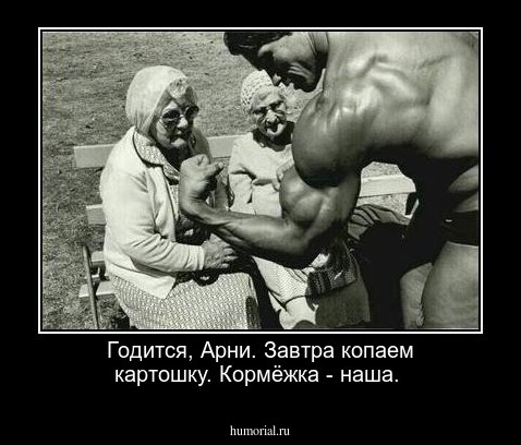  Годится, Арни. Завтра копаем картошку. Кормёжка - наша.