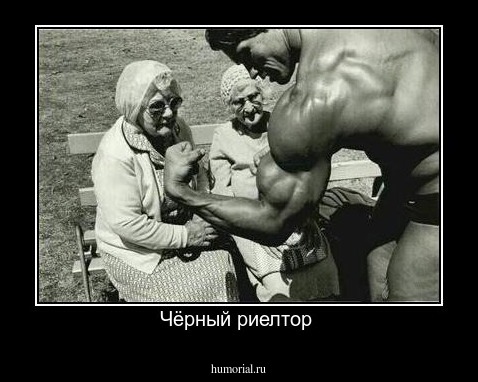 Чёрный риелтор 