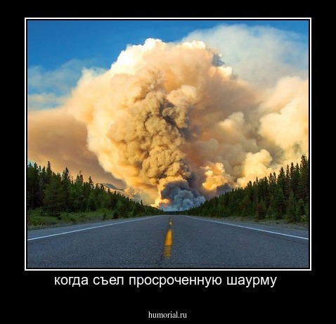 когда съел просроченную шаурму 