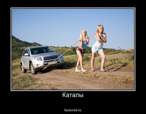 Каталы