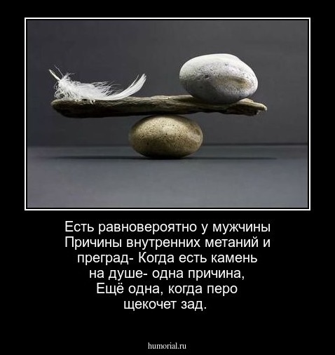 Есть равновероятно у мужчины
Причины внутренних метаний и преград-
Когда есть камень на душе- одна причина,
Ещё одна, когда перо щекочет зад.
