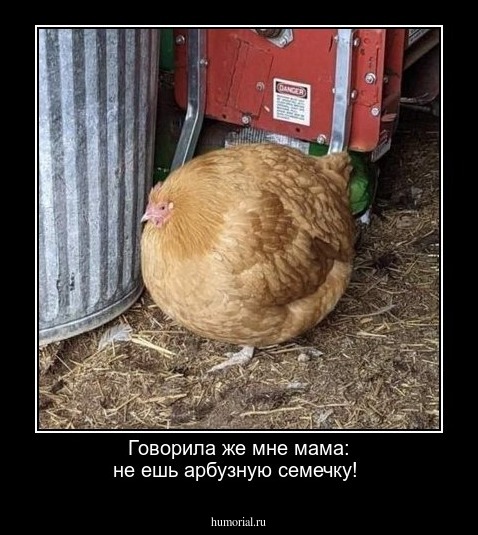 Говорила же мне мама: не ешь арбузную семечку! 