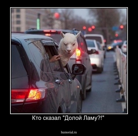 Кто сказал "Долой Ламу?!" 