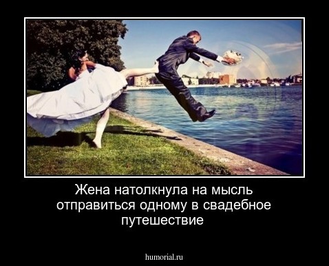 Жена натолкнула на мысль отправиться одному в свадебное путешествие