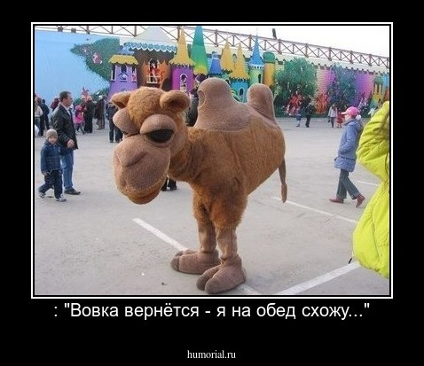 : "Вовка вернётся - я на обед схожу..."