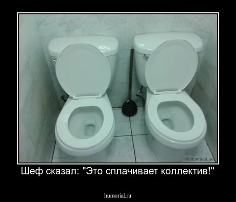 Шеф сказал: "Это сплачивает коллектив!"