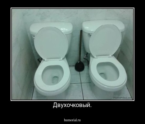 Двухочковый.