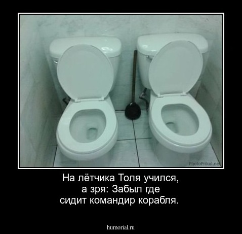 На лётчика Толя учился, а зря: Забыл где сидит командир корабля.