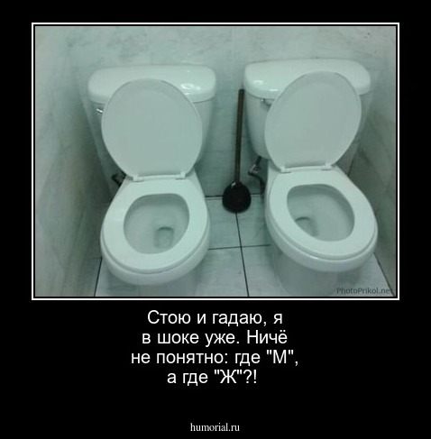 Стою и гадаю, я в шоке уже.  Ничё не понятно:   где "М", а где "Ж"?! 