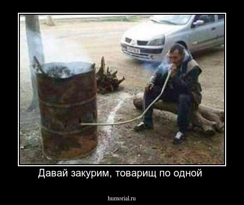 Давай закурим, товарищ по одной 