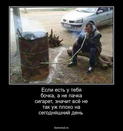 Если есть у тебя бочка, а не пачка сигарет, значит всё не так уж плохо на сегодняшний день