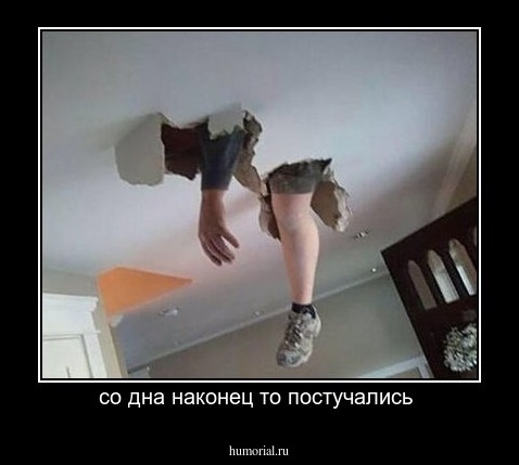 со дна наконец то постучались 