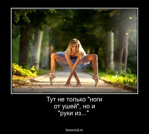 Тут не только "ноги от ушей", но и "руки из..."