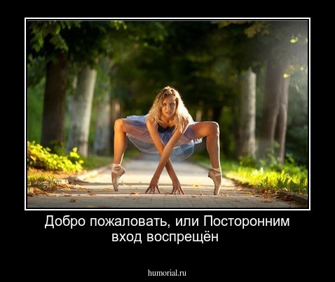 Добро пожаловать, или Посторонним вход воспрещён