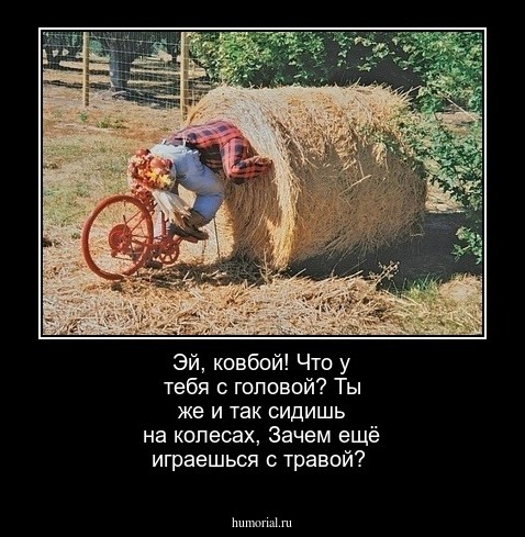 Эй, ковбой! Что у тебя с головой?
Ты же и так сидишь на колесах,
Зачем ещё играешься с травой?