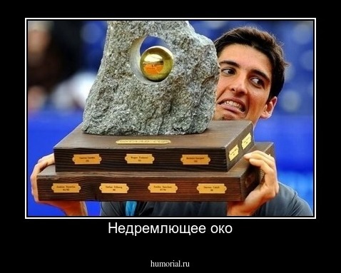 Недремлющее око