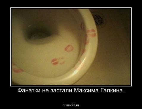  Фанатки не застали Максима Галкина.