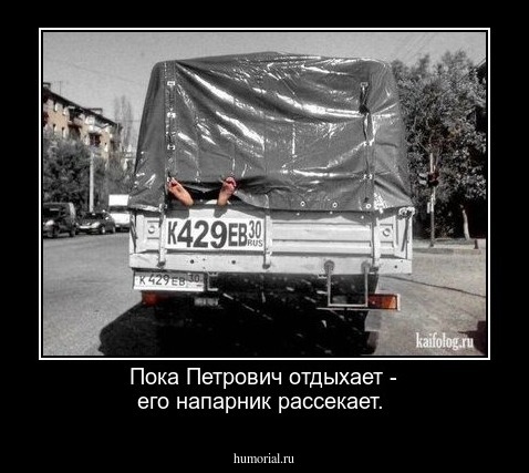 Пока Петрович отдыхает - его напарник рассекает.