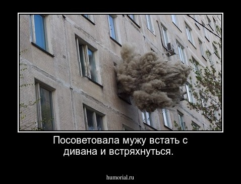 Посоветовала мужу встать с дивана и встряхнуться.