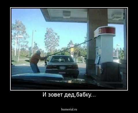 И зовет дед,бабку...