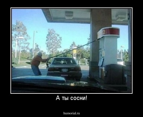 А ты сосни!